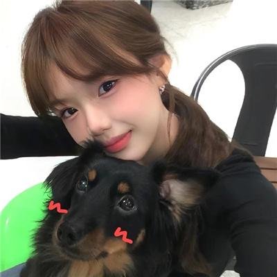 帮帮我托德第二季