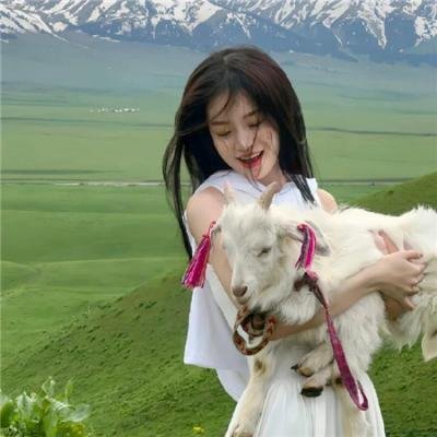 鲁邦三世 拿破仑辞典争夺战